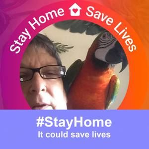 Meet your Posher, Karen